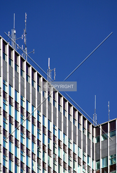 Photo 290-971-298