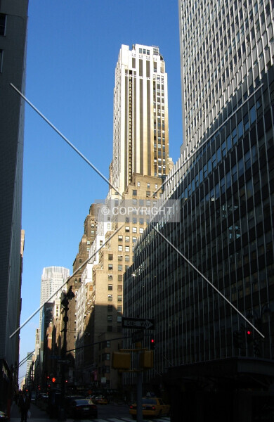 Photo 292-031-916