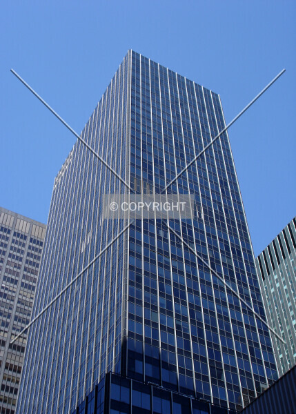 Photo 292-288-313