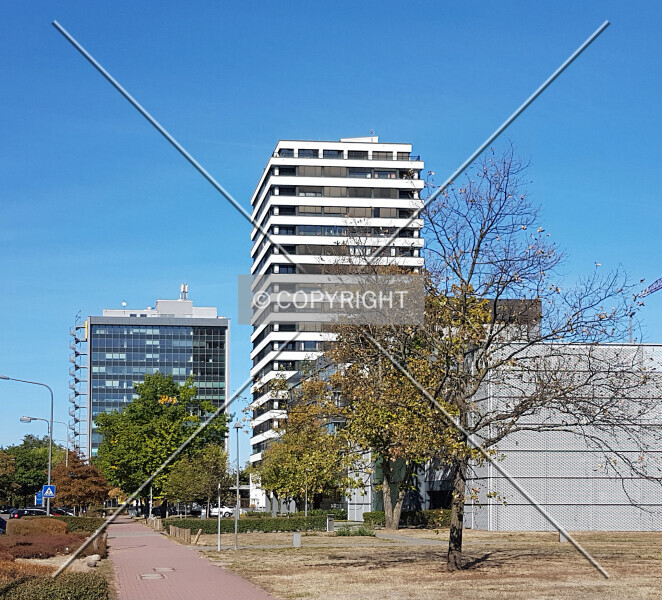 Photo 292-797-381
