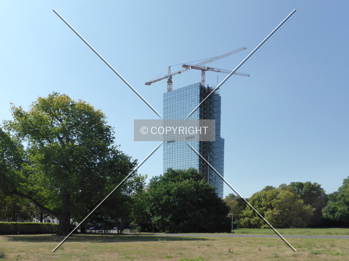 Photo 293-329-042