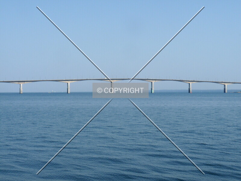 Photo 293-556-576