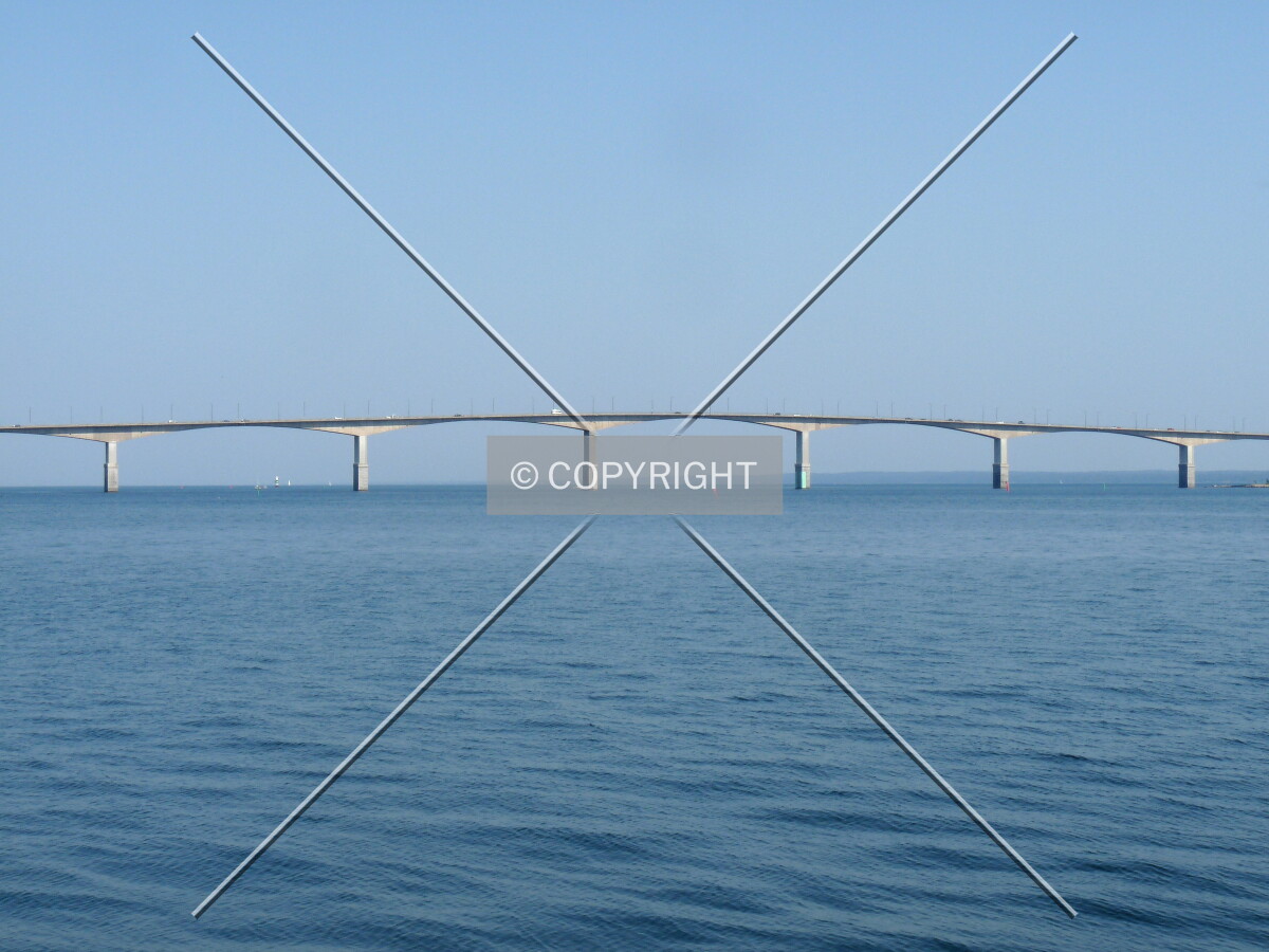 Photo 293-556-576
