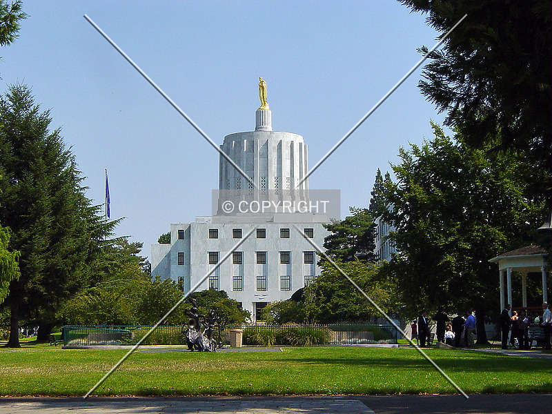 Photo 294-156-696