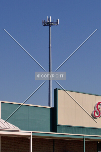 Photo 294-199-336