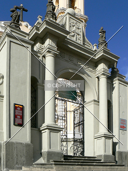 Photo 294-329-113
