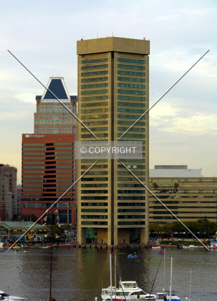 Photo 294-347-373