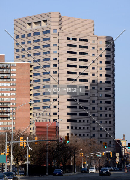 Photo 294-576-538