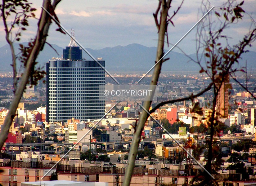 Photo 294-832-337