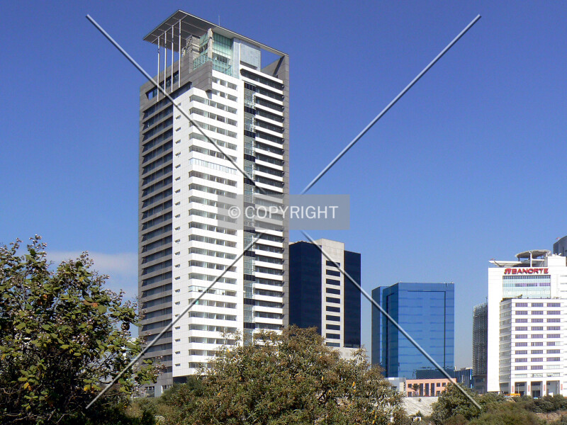 Photo 294-856-754