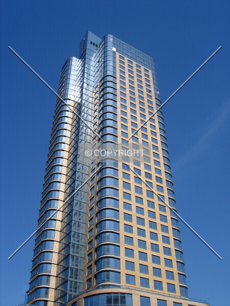 Photo 295-012-362