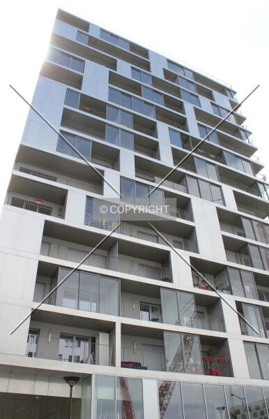 Photo 295-016-935