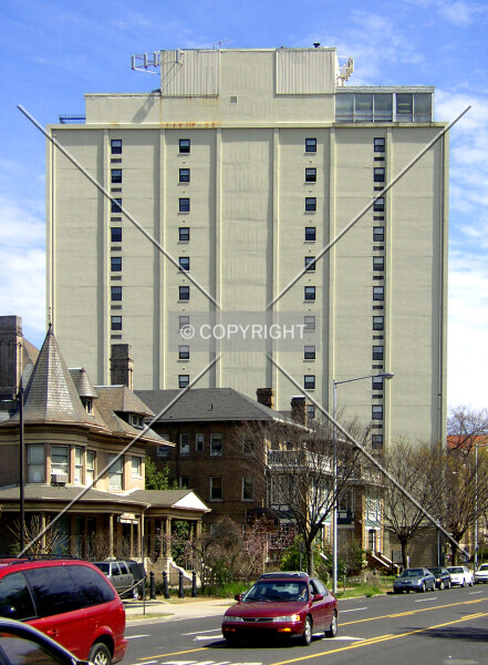 Photo 295-213-464
