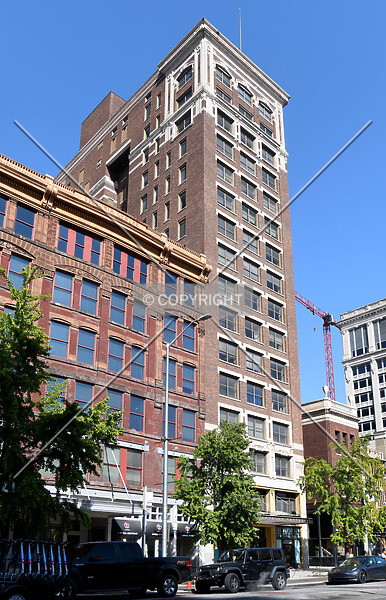 Photo 295-311-679