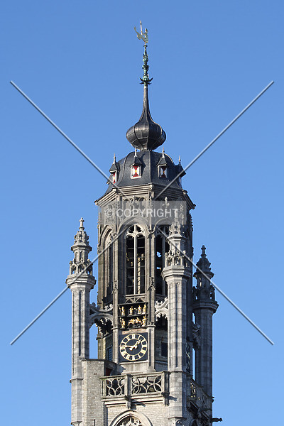 Photo 295-390-528