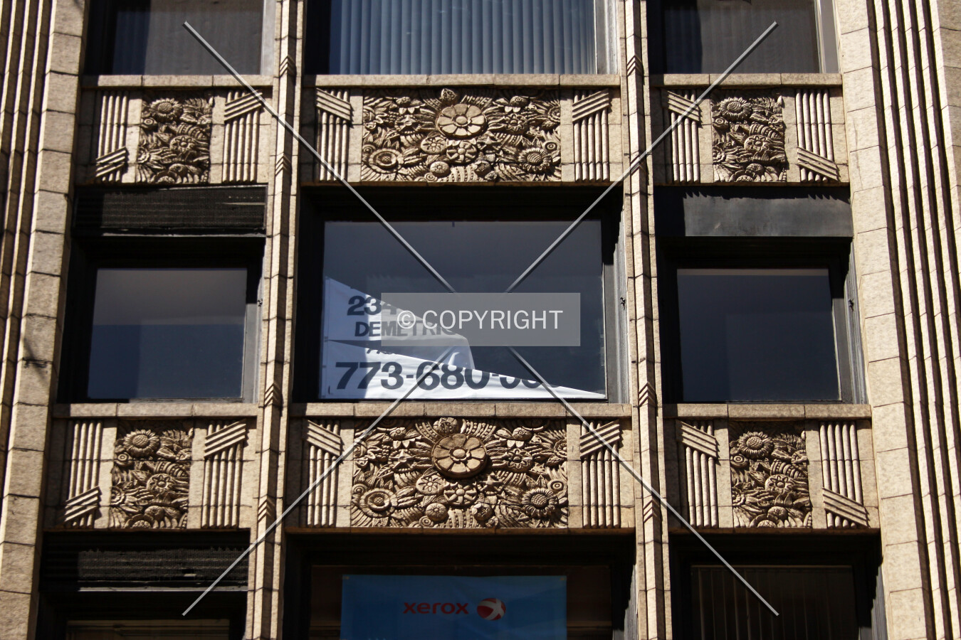 Photo 295-449-787