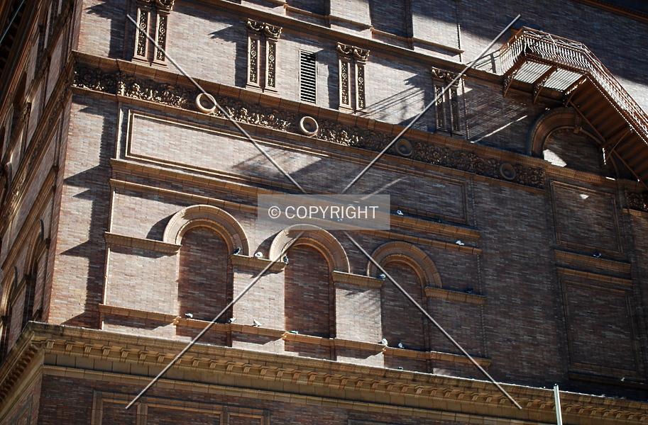 Photo 295-523-805