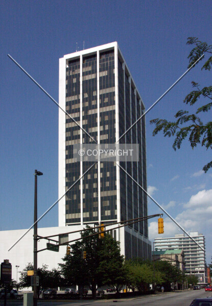 Photo 295-727-094