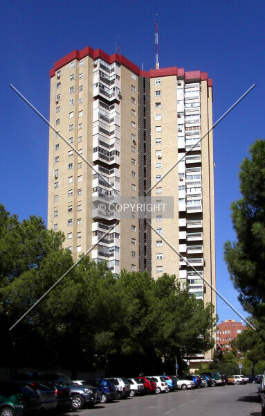 Photo 295-863-899