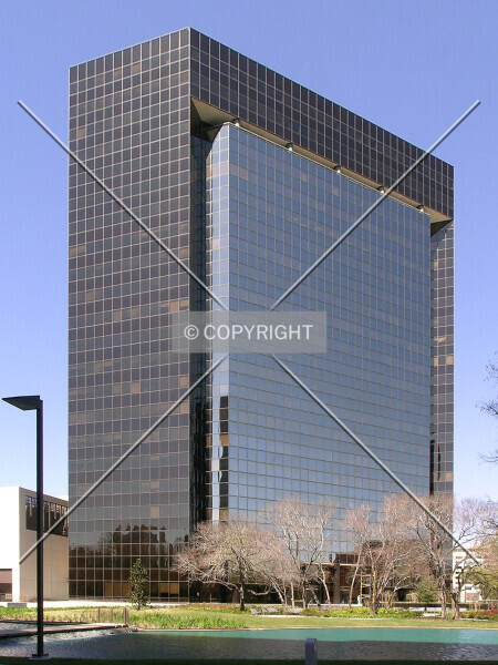 Photo 295-930-626