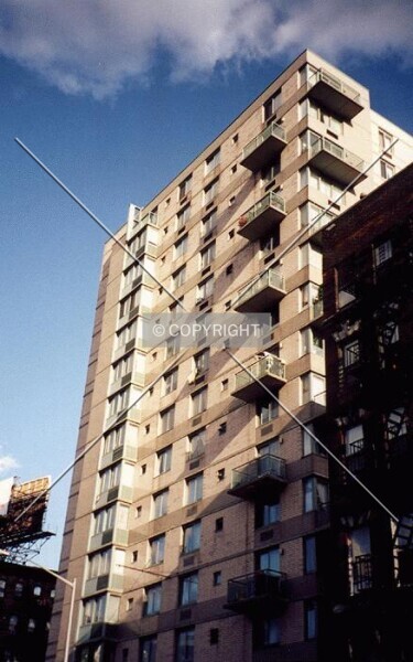Photo 295-985-056