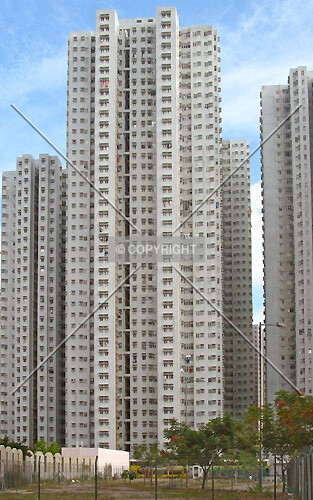 Photo 296-337-259