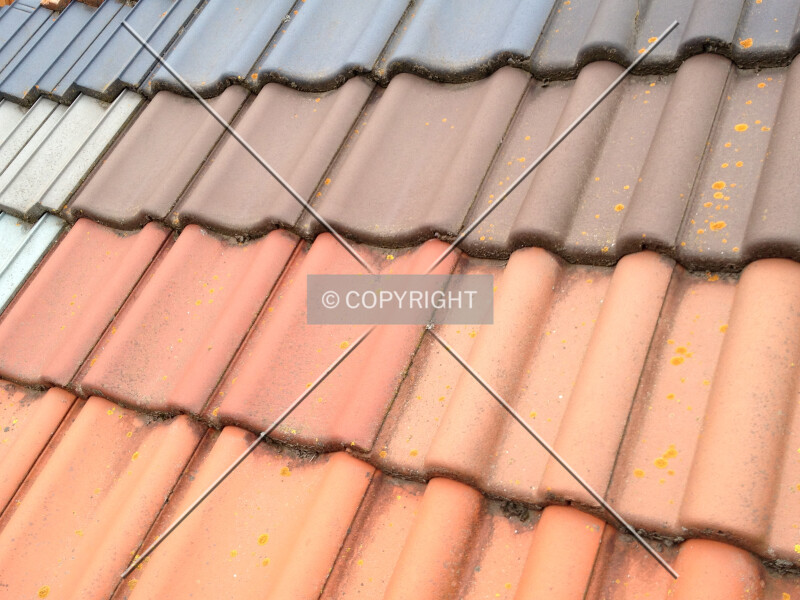 Photo 296-997-872