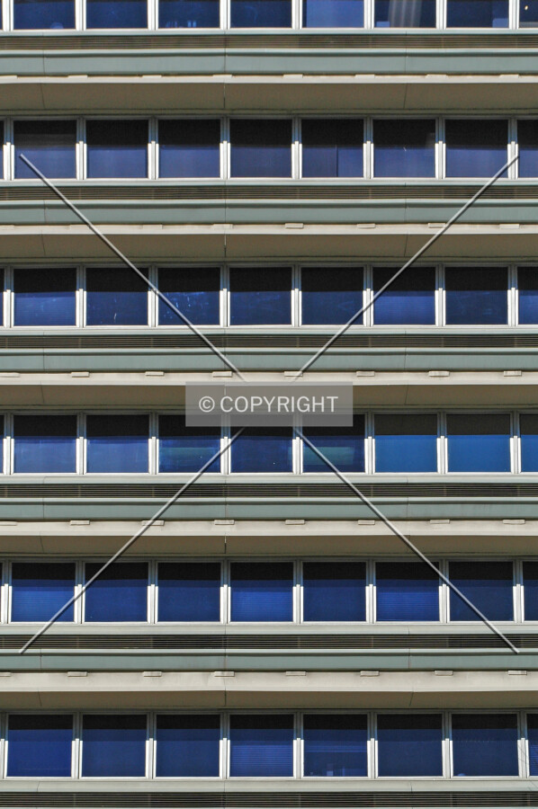 Window detail