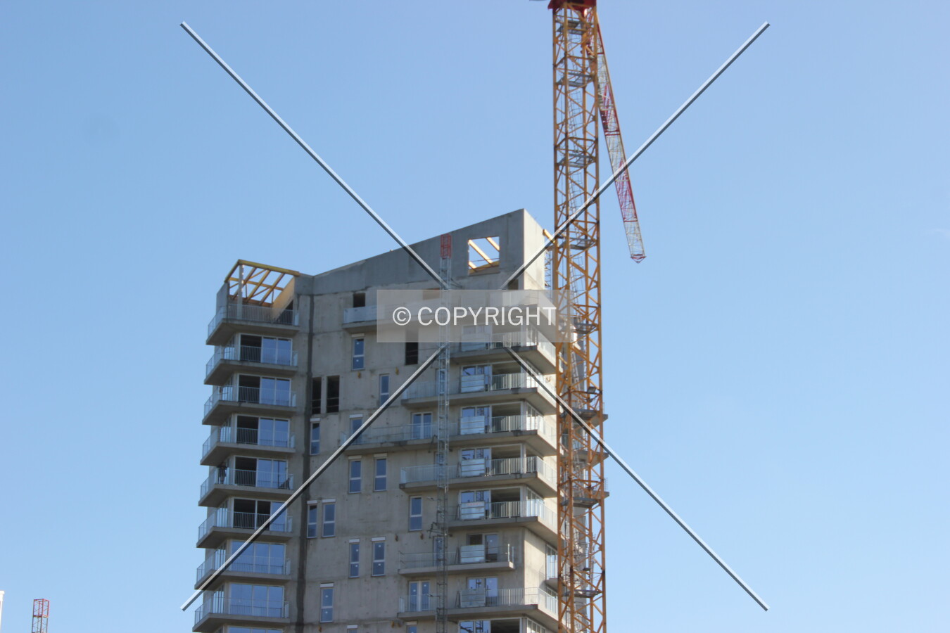 Photo 297-279-902