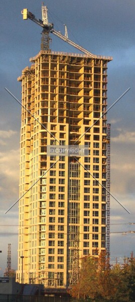 Photo 297-556-885