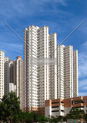 Photo 298-320-734