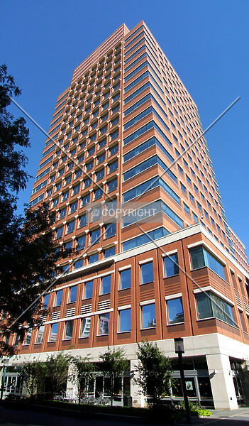 Photo 300-404-593