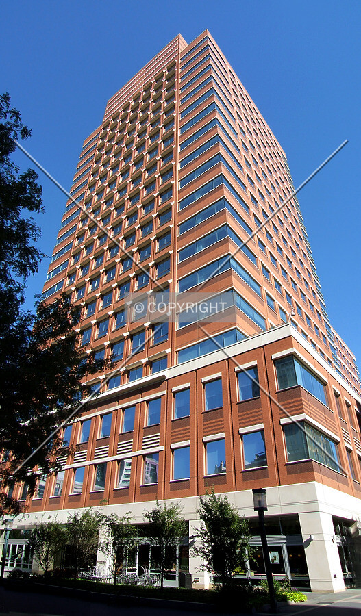 View from the southwest
