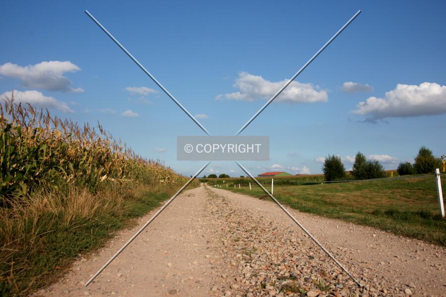 A farm track