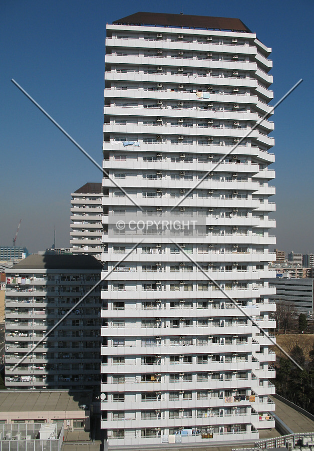 View from the south