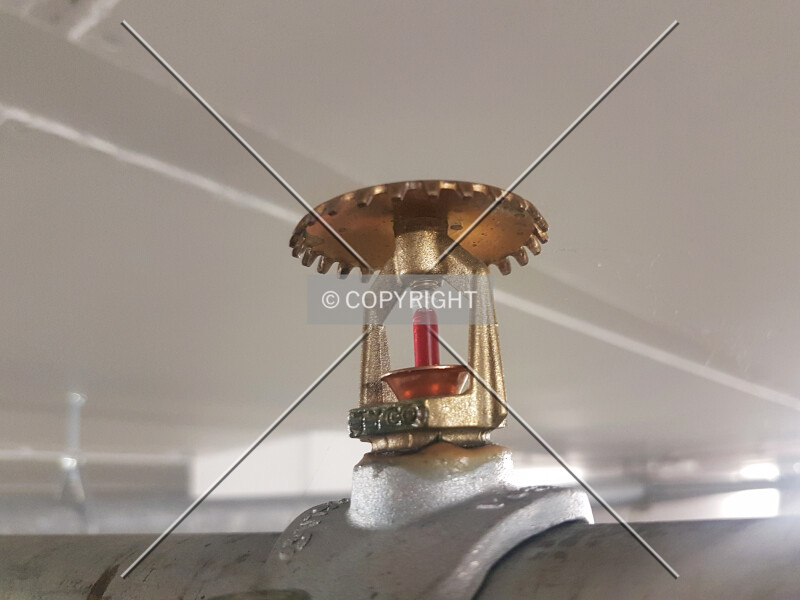 Photo 305-021-167