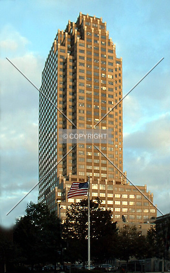 View from the northwest