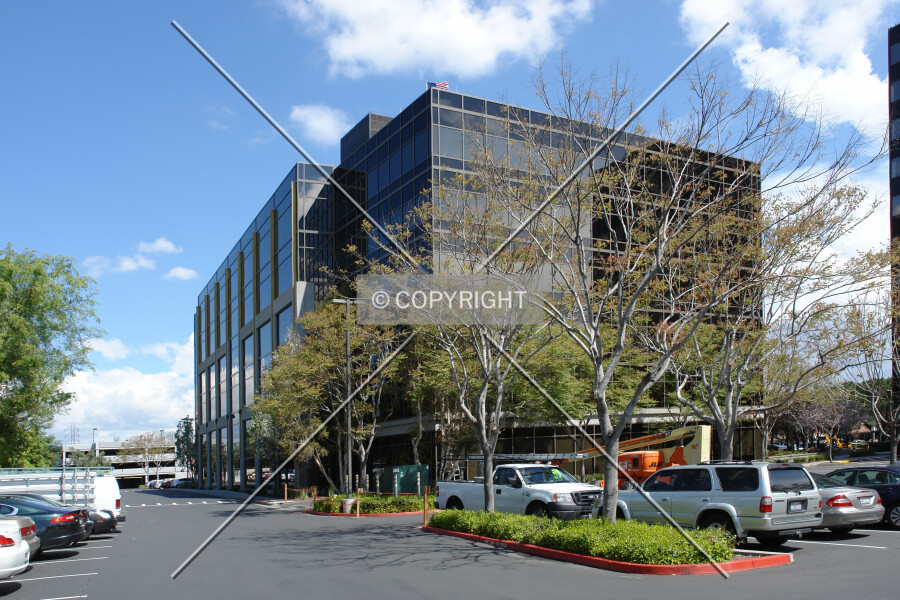 Photo 305-564-271