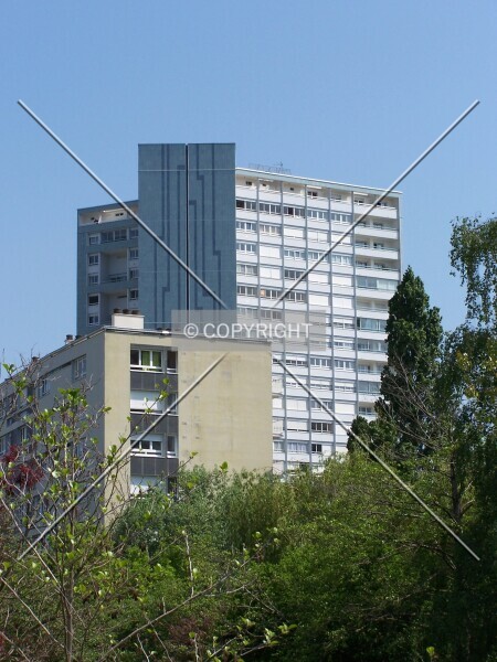 Photo 307-109-224