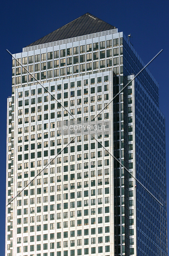 The south side