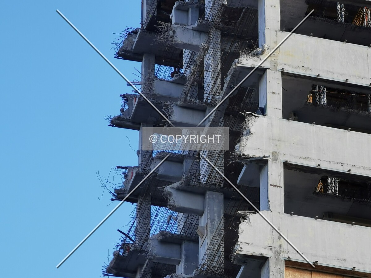 Photo 311-839-462