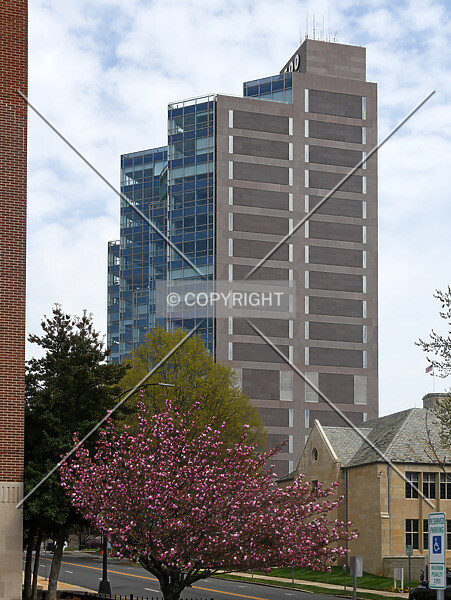 Photo 313-031-186