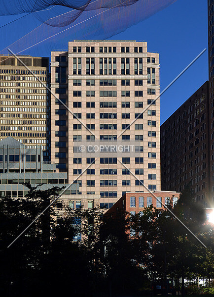 Photo 313-161-753