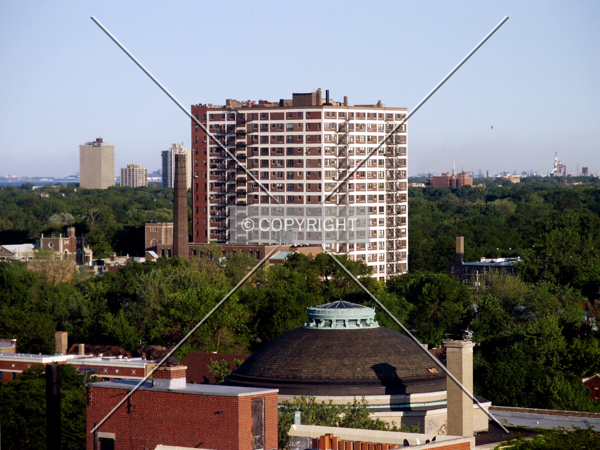View from 5550 South Dorchester