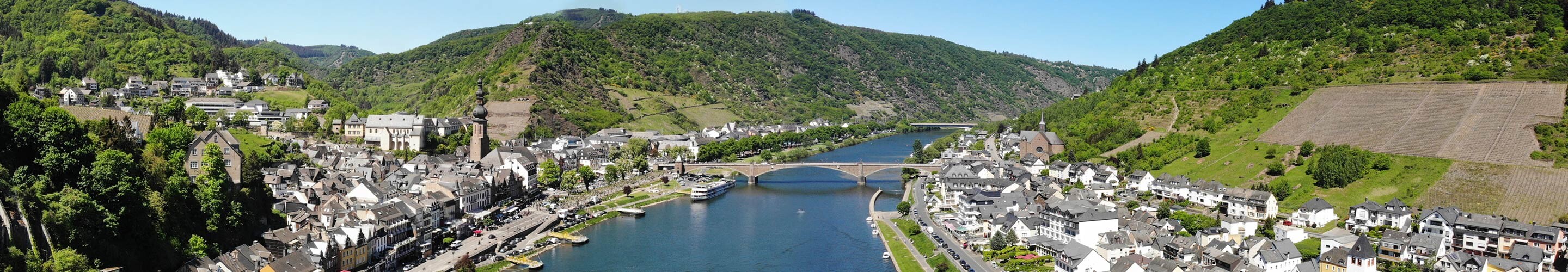 Panorama of Cochem