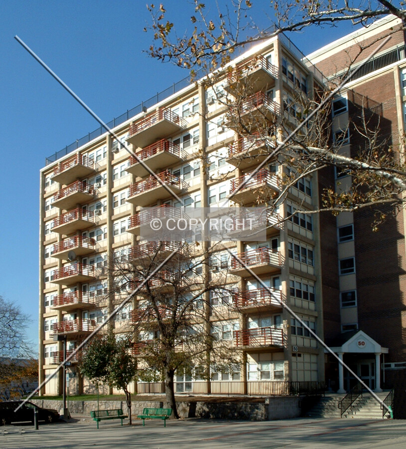 View from the east