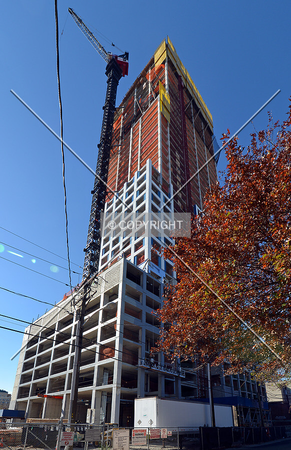 View from the northeast
