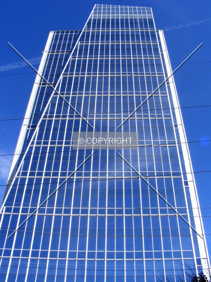 Looking up from Piedmont Road