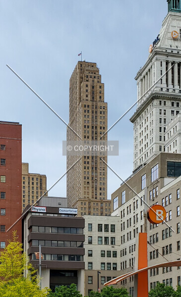 Photo 323-245-889