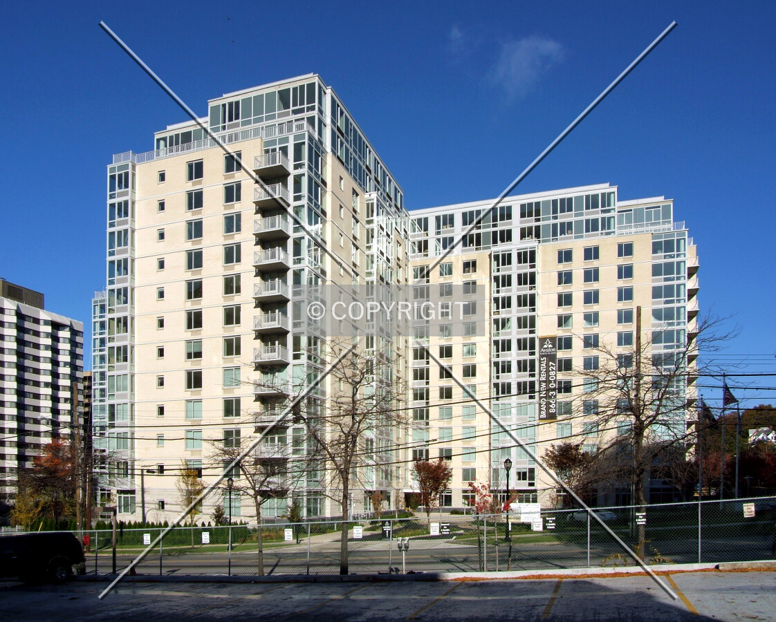 View from the southeast